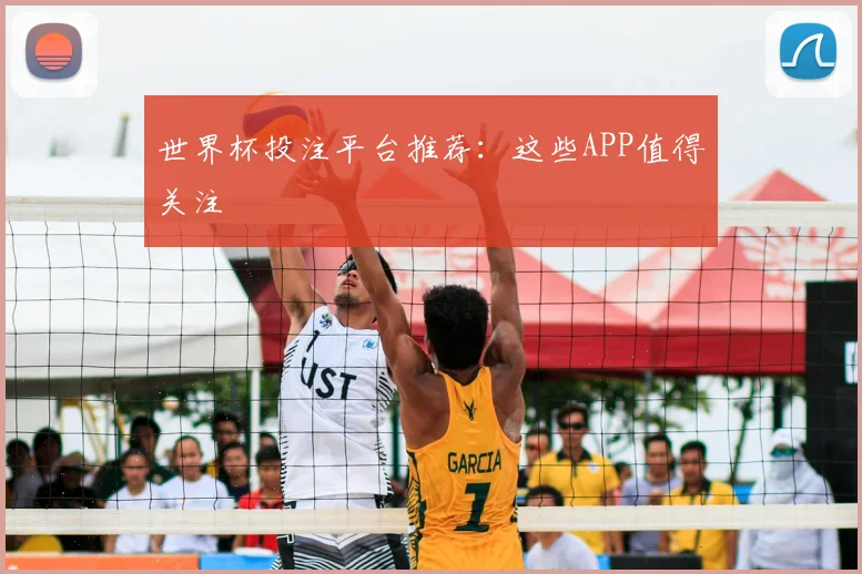 世界杯投注平台推荐:这些APP值得关注