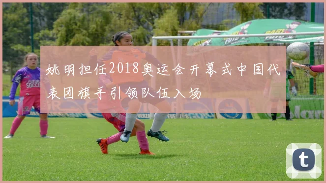 姚明担任2018奥运会开幕式中国代表团旗手引领队伍入场
