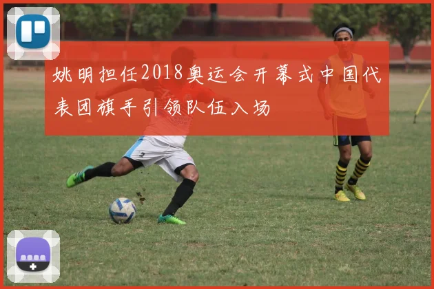 姚明担任2018奥运会开幕式中国代表团旗手引领队伍入场