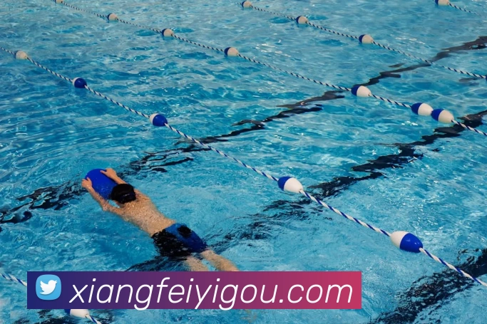 App Interface Preview